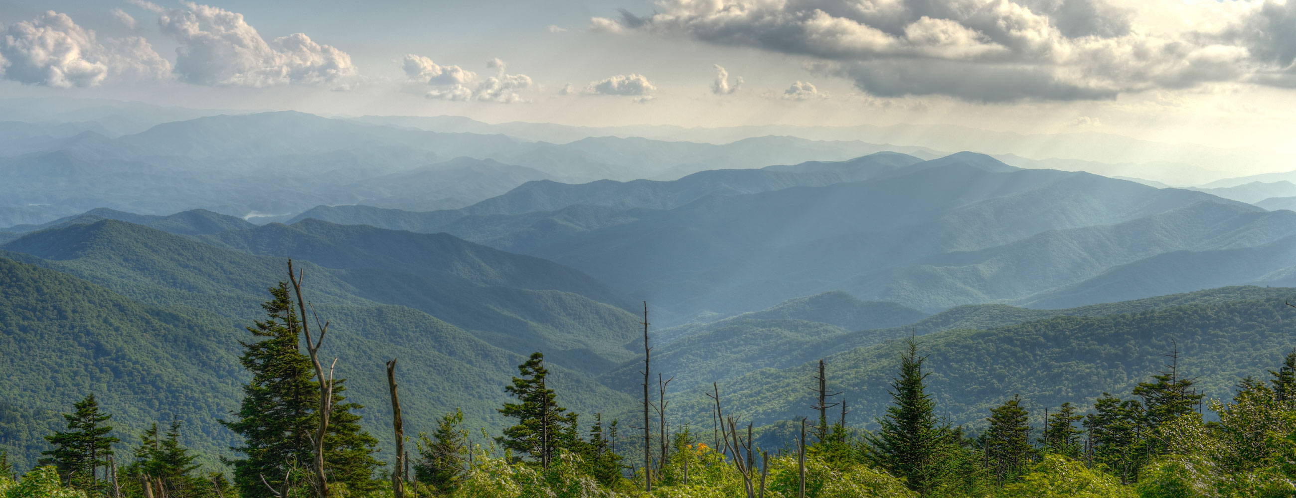 constanceawiah8@gmail.com