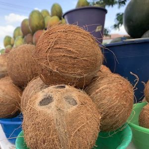Dried Coconut